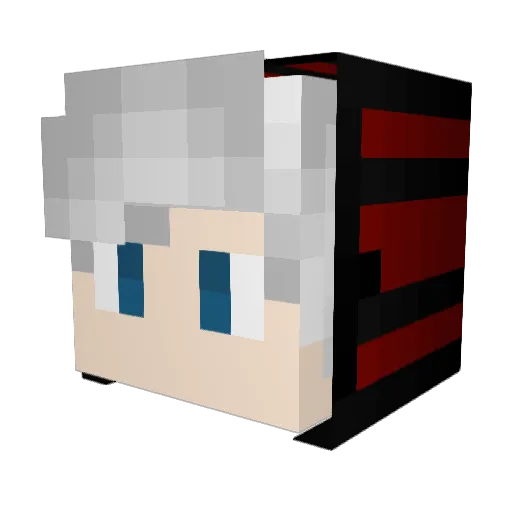 PaN9o4ka Minecraft avatar head, 3D render