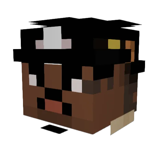 PaRaWeLLs Minecraft avatar head, 3D render