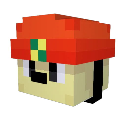 PaRappa_23 Minecraft avatar head, 3D render