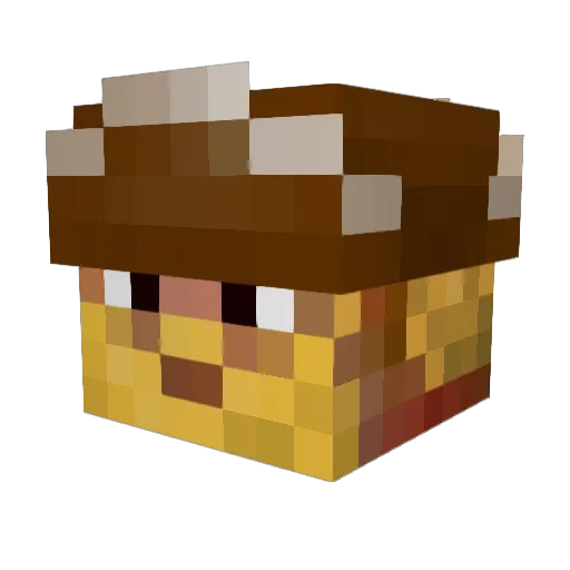 PaSSwort88 Minecraft avatar head, 3D render