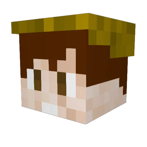 Pa_u_ro Minecraft avatar head, 3D render