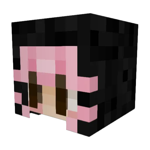 Paahtoleipa_ Minecraft avatar head, 3D render