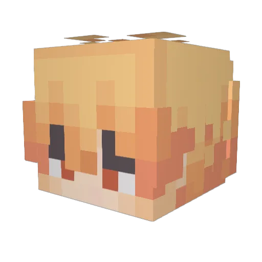 Paaiin Minecraft avatar head, 3D render