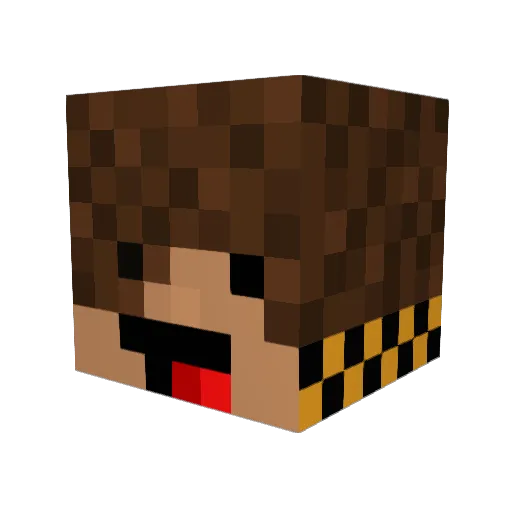 PaakaCrafts Minecraft avatar head, 3D render