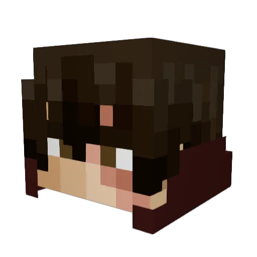 Paakkuu Minecraft avatar head, 3D render