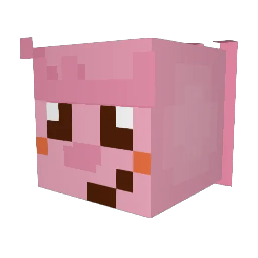 Paanky Minecraft avatar head, 3D render