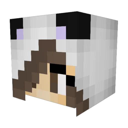 Paanndaa Minecraft avatar head, 3D render