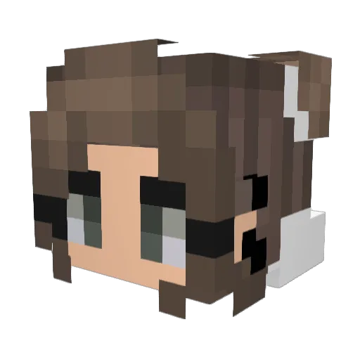 PaatateDouch Minecraft avatar head, 3D render