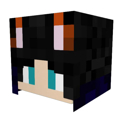 Paatt_00 Minecraft avatar head, 3D render
