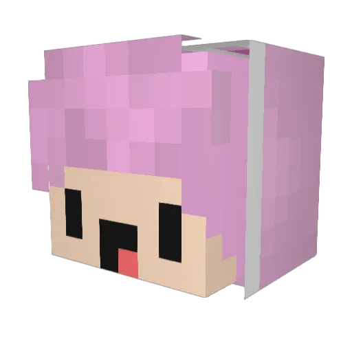 PaaulYT Minecraft avatar head, 3D render