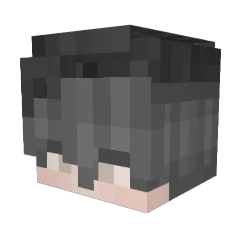 Paauley Minecraft avatar head, 3D render