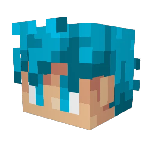 Paaynn_ Minecraft avatar head, 3D render