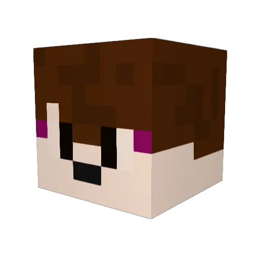 Pab40 Minecraft avatar head, 3D render