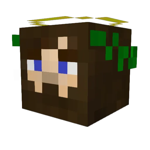 Pabl0XY Minecraft avatar head, 3D render