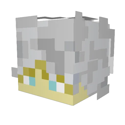 Pablito3 Minecraft avatar head, 3D render