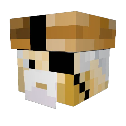 Pablo37JP Minecraft avatar head, 3D render