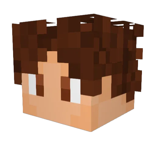PabloNunez Minecraft avatar head, 3D render