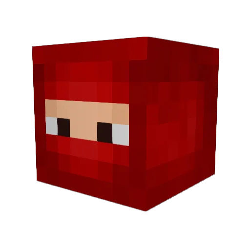PabloTheBear Minecraft avatar head, 3D render