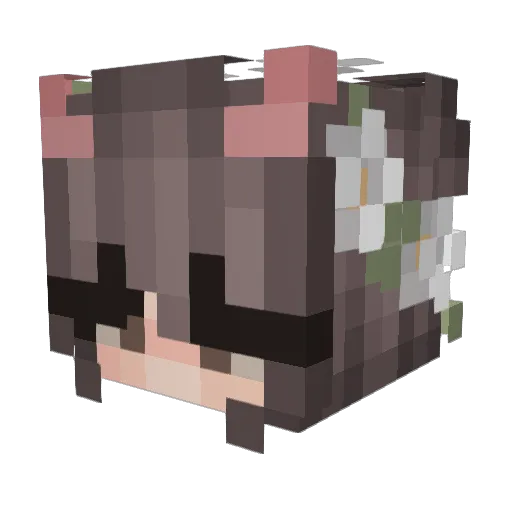 Pablo_110 Minecraft avatar head, 3D render