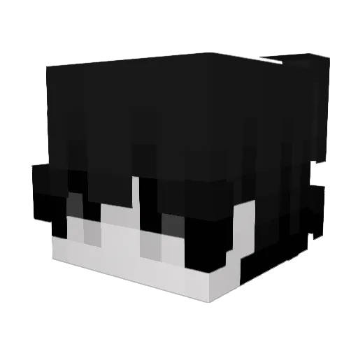 Pablocaprisun Minecraft avatar head, 3D render