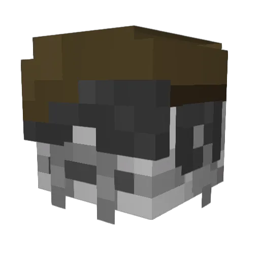 Pablolo_lolo Minecraft avatar head, 3D render