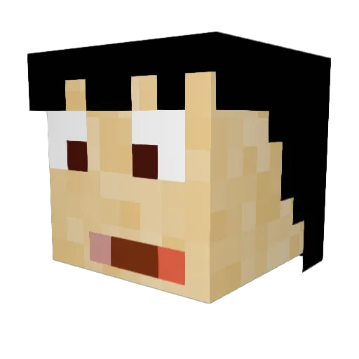 Pabloo23 Minecraft avatar head, 3D render