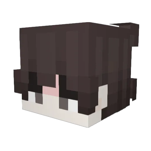PablosSauce Minecraft avatar head, 3D render