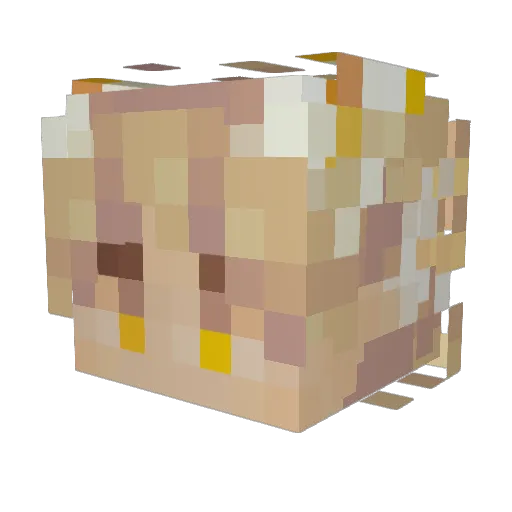 Pabloskio Minecraft avatar head, 3D render