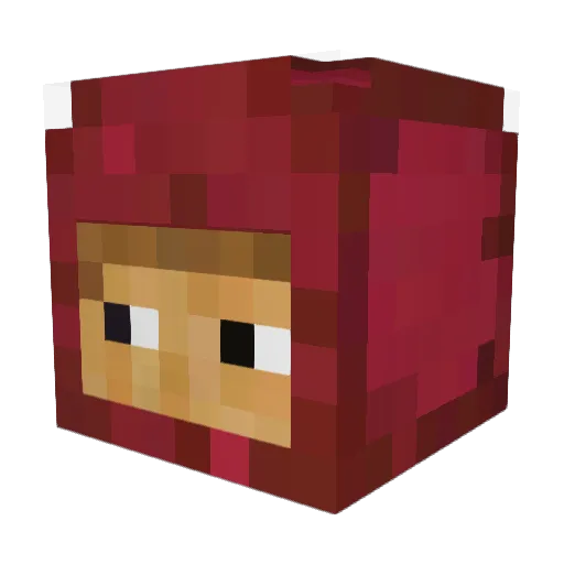 Pablotufos_Ponys Minecraft avatar head, 3D render