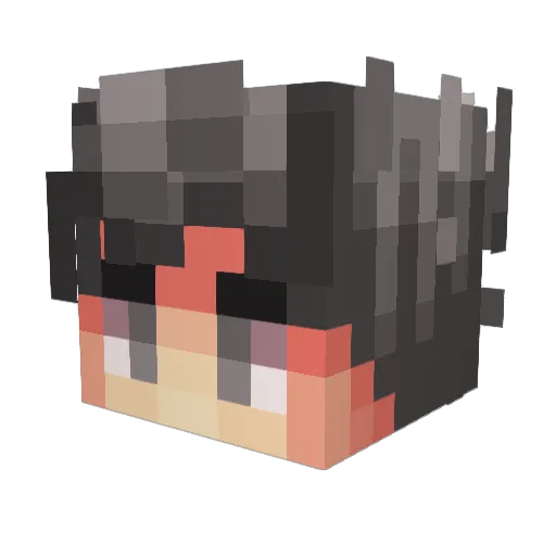 Pablowojan Minecraft avatar head, 3D render