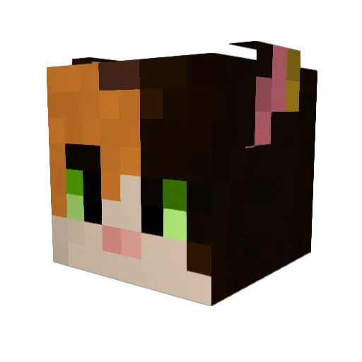 Pabstlite Minecraft avatar head, 3D render