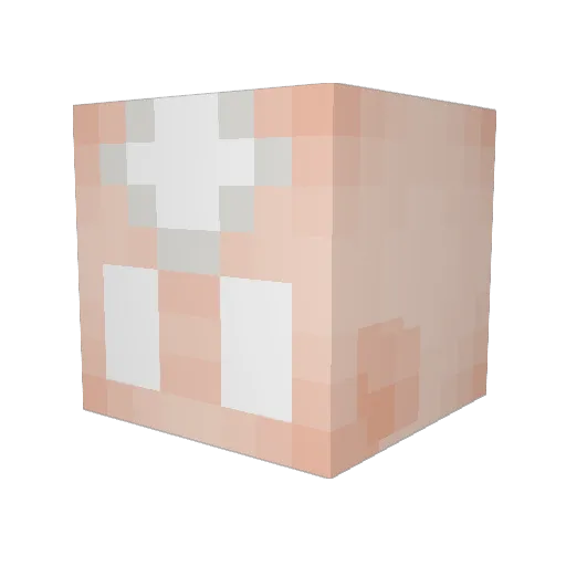 Pabucita Minecraft avatar head, 3D render