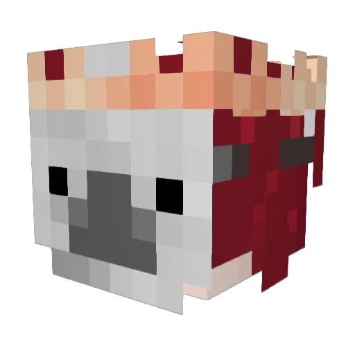 PacaChu_ Minecraft avatar head, 3D render