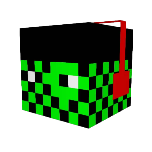 Pacahl Minecraft avatar head, 3D render