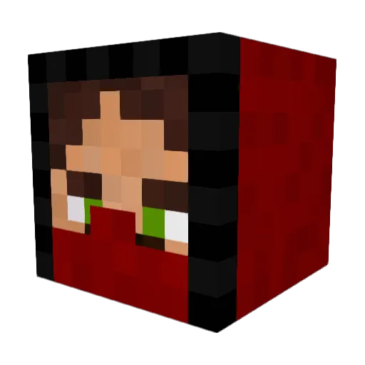 Pacan_1 Minecraft avatar head, 3D render