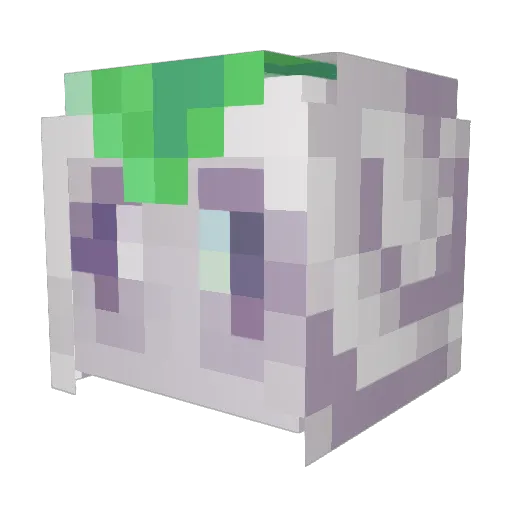 Paccheta Minecraft avatar head, 3D render
