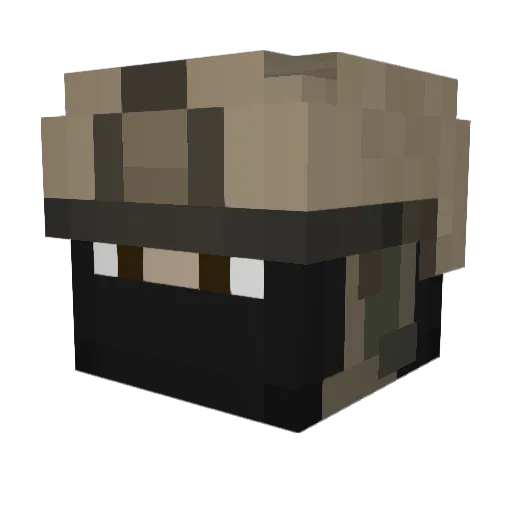 Paceye Minecraft avatar head, 3D render