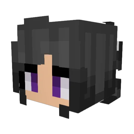 Pachcka Minecraft avatar head, 3D render