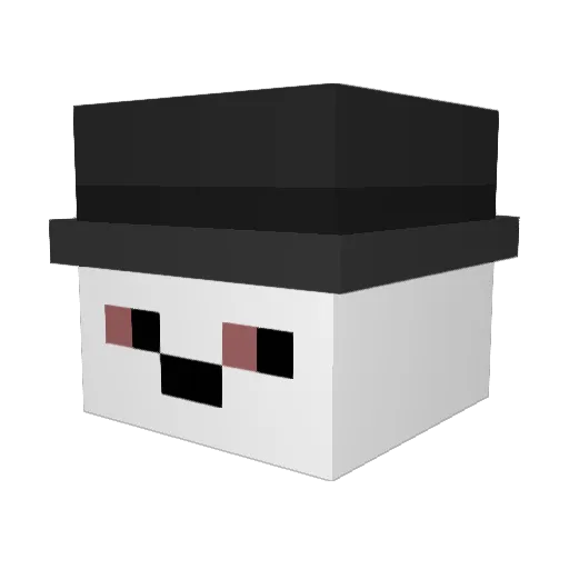 Pachequinho_Owna Minecraft avatar head, 3D render