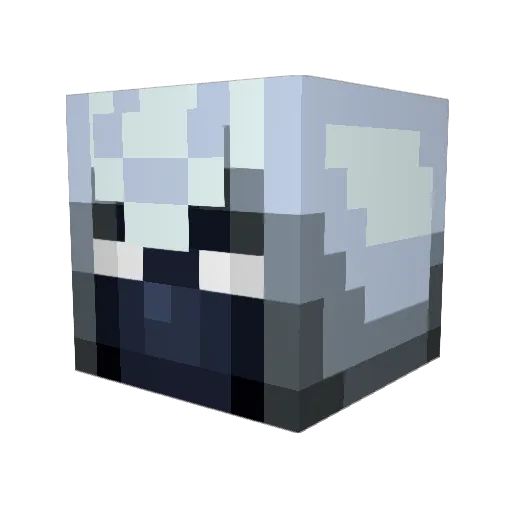 Pachex0 Minecraft avatar head, 3D render