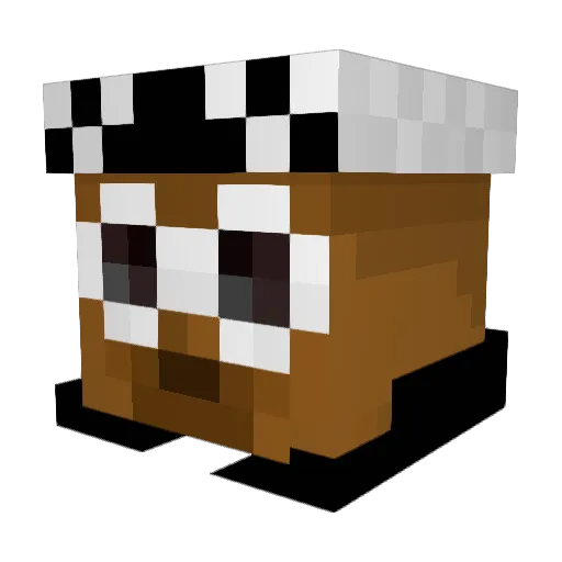 PachifruitYT Minecraft avatar head, 3D render