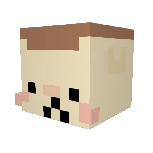 Pachimazi Minecraft avatar head, 3D render
