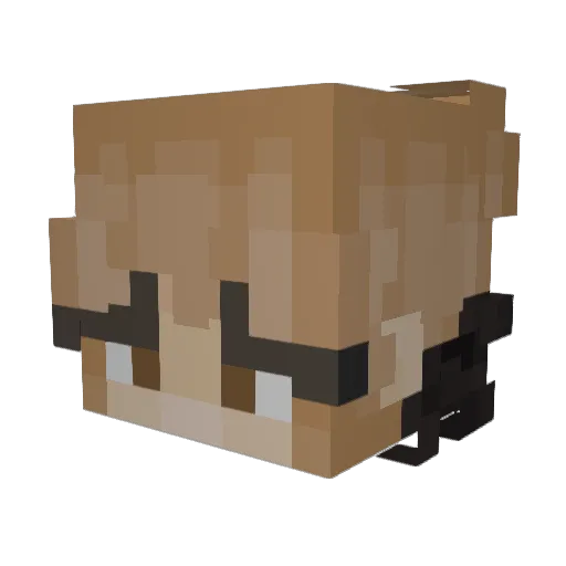 Pachinx Minecraft avatar head, 3D render