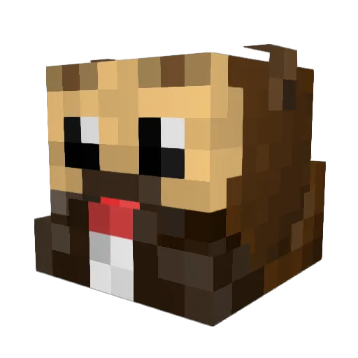 Pachu1337 Minecraft avatar head, 3D render