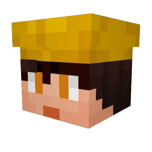 Pachuly25 Minecraft avatar head, 3D render
