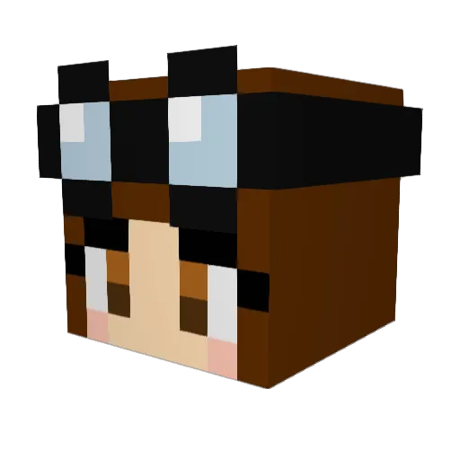 Pachy89 Minecraft avatar head, 3D render
