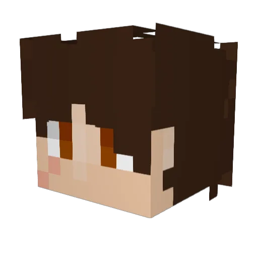 PaciaPacia Minecraft avatar head, 3D render