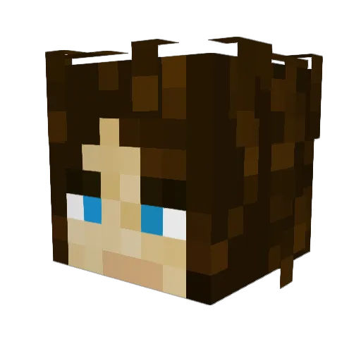 PacificSpirit Minecraft avatar head, 3D render