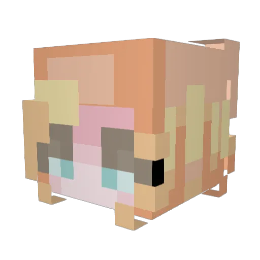 PacifieHim Minecraft avatar head, 3D render