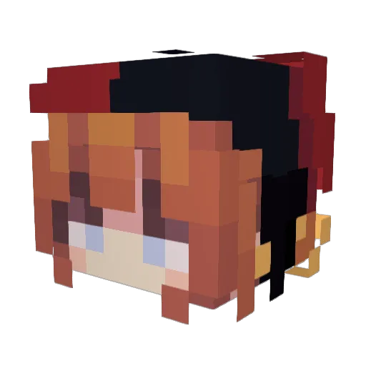 Pacifycally Minecraft avatar head, 3D render